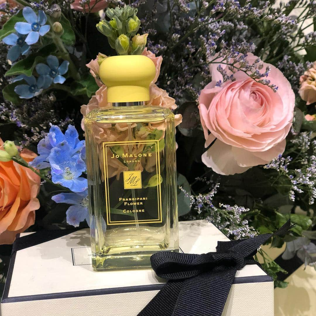 VOCE編集部さんのインスタグラム写真 - (VOCE編集部Instagram)「#JOMALONE の 新作 #フレグランス ✨﻿ ﻿ 本日4/5に数量限定発売となった、﻿ ジョー マローン ロンドンの #ブロッサムズ コレクション。﻿ ﻿ その中でも新しい香りは、黄色いパッケージの、﻿ フランジパニ フラワー コロン。﻿ フランジパニの太陽の暖かさも感じる甘い香りは、﻿ 纏っただけで、すぐにリゾート地に行ったような解放感が😍﻿ ﻿ さらにこのブロッサムズ コレクションの発売を記念して、﻿ 今日と明日の2日間、表参道SIDEにて、スペシャルイベントも開催！﻿ ブロッサムズの世界観を楽しみながら、 #小田切ヒロ さん考案の、﻿ #ヘアアレンジ も受けられるというステキなイベントです。﻿ ﻿ 明日お近くにお寄りの際にはぜひ！﻿ （ウェブサイト担当SM）﻿ ﻿ #voce #vocemagazine﻿ #ヴォーチェ #新作コスメ #デパコス #コスメマニア #コスメ好きさんと繋がりたい #香水 #ジョマロ #フランジパニ #フランジパニフラワーコロン #コロン」4月5日 18時52分 - vocemagazine