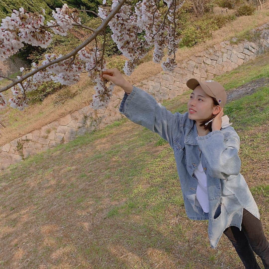 井手上漠さんのインスタグラム写真 - (井手上漠Instagram)「桜はどこに咲いててもきれいだよね(感動」4月5日 18時54分 - baaaakuuuu