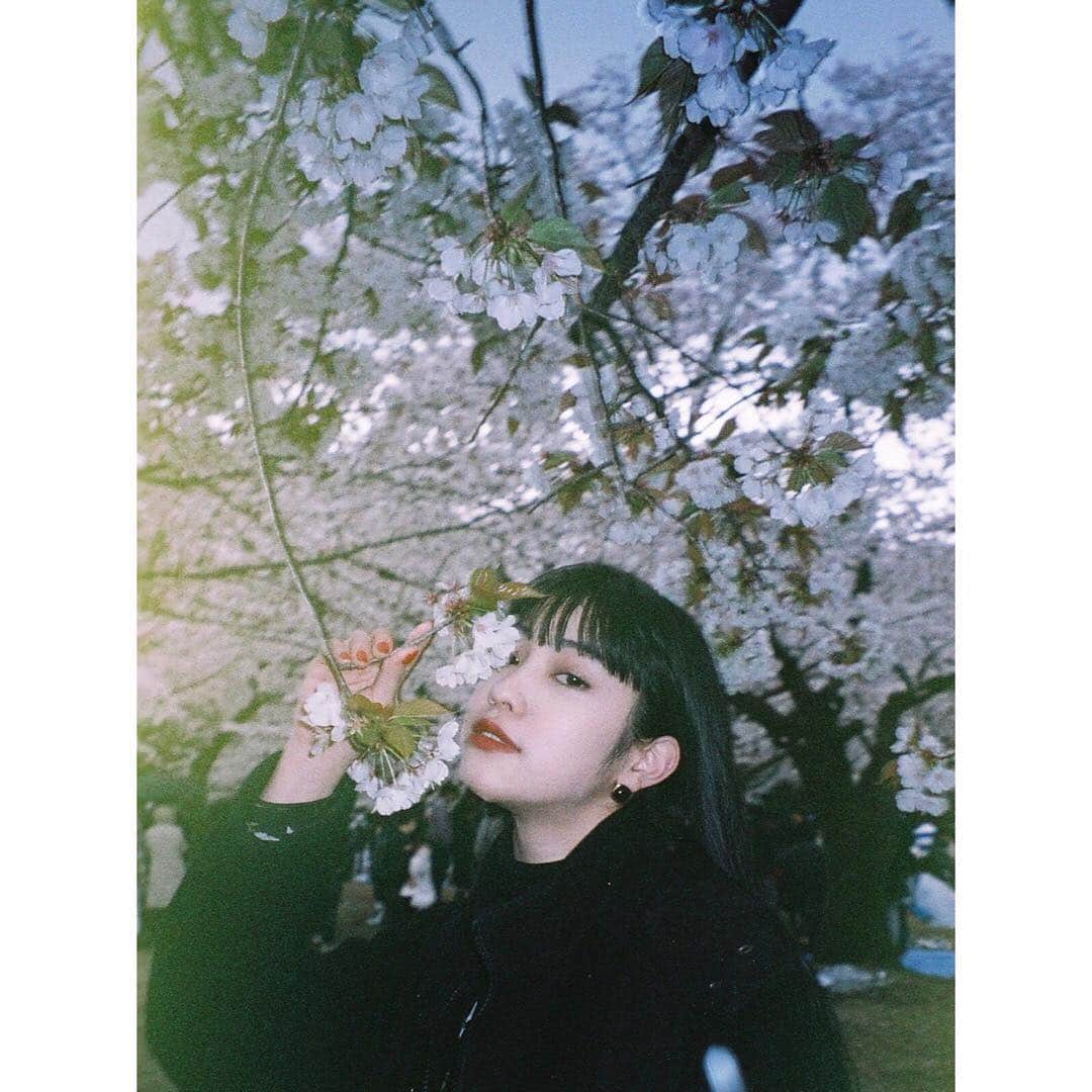 北澤舞悠（まゆちる）さんのインスタグラム写真 - (北澤舞悠（まゆちる）Instagram)「sakura」4月5日 18時54分 - mayu_kitazawa