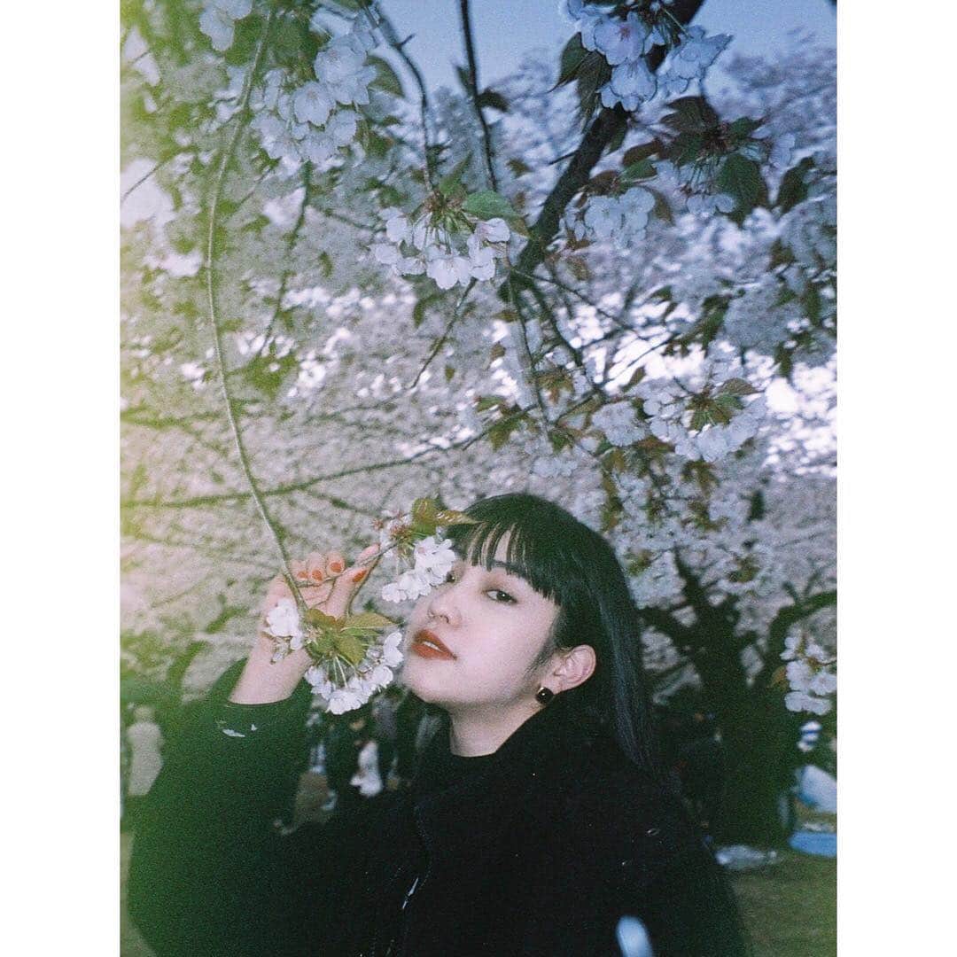北澤舞悠（まゆちる）のインスタグラム：「sakura」