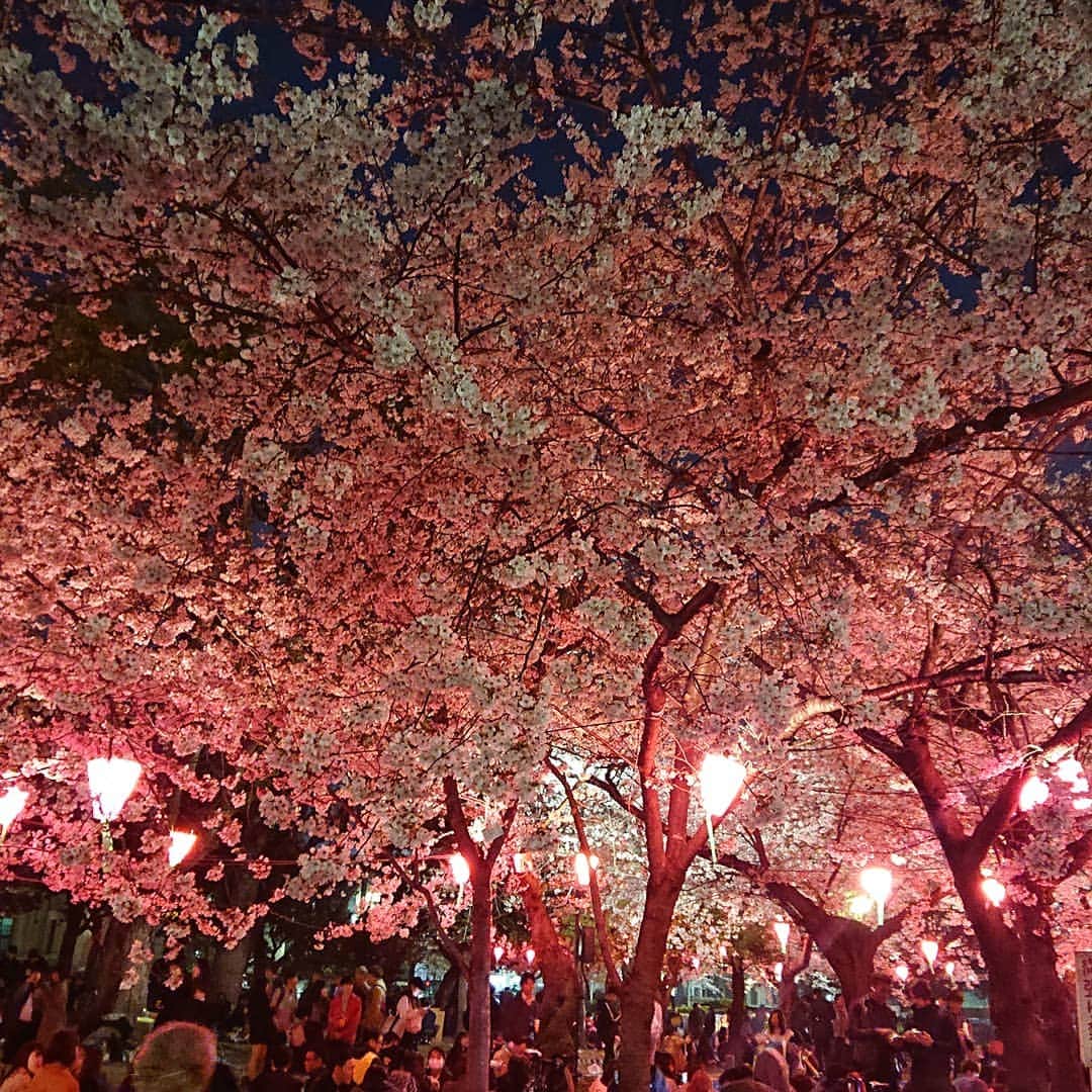 空条承太郎のインスタグラム：「昨日の鶴舞公園です😆」