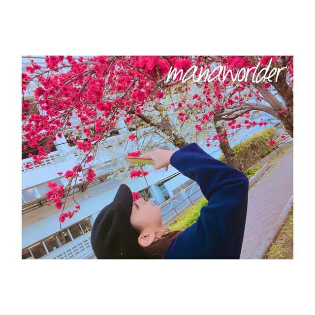 MANAMI SASAKIのインスタグラム：「・ 4月になったね🤳🌸 ・ 4月は私にとって、 ・ 12ヶ月の中で、 ・ 1番刹那的な月です🌛 ・ ・ ・ #海外旅行 #世界遺産検定1級 #写真好きな人と繋がりたい #海外旅行好きな人と繋がりたい」