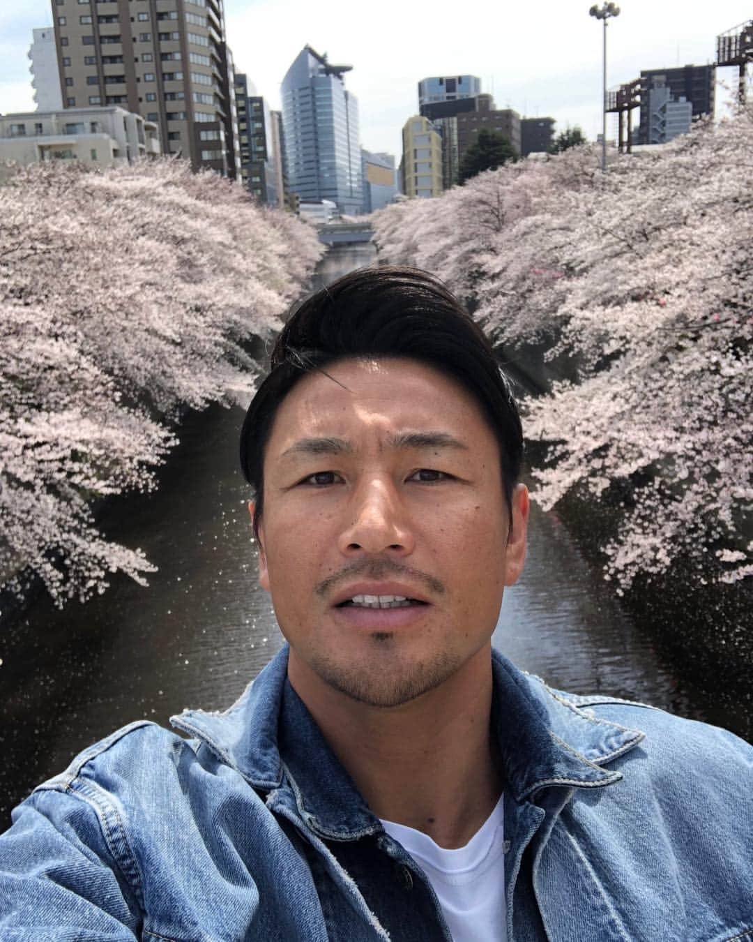 魔裟斗さんのインスタグラム写真 - (魔裟斗Instagram)「やっぱり桜好きだな #魔裟斗」4月5日 19時05分 - masato.official