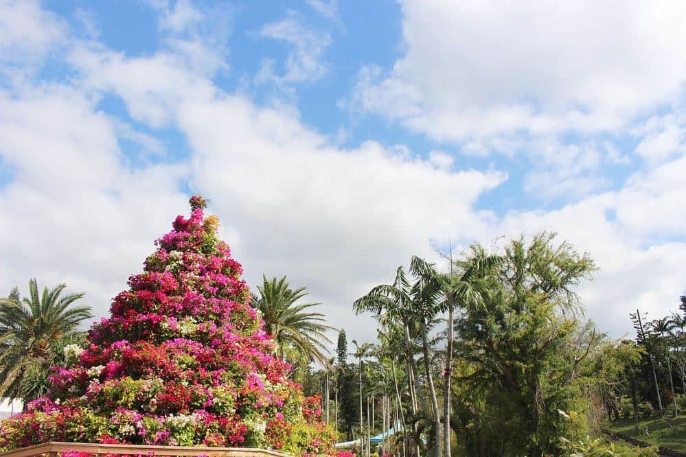 be-o編集部さんのインスタグラム写真 - (be-o編集部Instagram)「先日、東南植物楽園「楽園台湾朝食」の試食会に行ってきました！ 今年で４回目になる楽園台湾朝食。 人気のお粥セットや今年初登場の豆乳坦々麺は朝食にぴったりのやさしい味。 デザートのマンゴープリンもしっかりとマンゴーの風味がして美味しい！ 朝からのお出かけが増えるGWなどにおすすめです♪ 明日4/6（土）からスタート！ 【開催期間】 2019年4月6日（土）～9月29日（日） 朝7時～10時（ラストオーダー9時30分） ※土日祝日限定 【開催場所】 沖縄県沖縄市知花2146 東南植物楽園　レストラン「PEACE」 #beautyokinawa #beauty #okinawa #ビオ #台湾朝食 #台湾 #東南植物楽園」4月5日 19時21分 - beo.okinawa