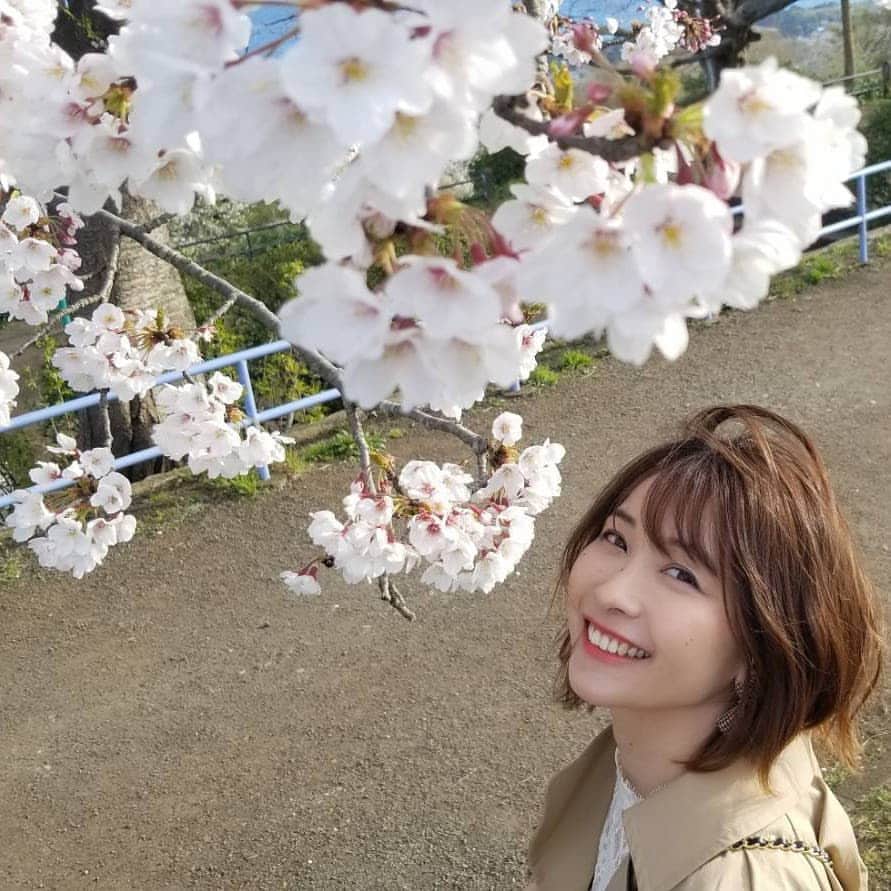 山崎真実さんのインスタグラム写真 - (山崎真実Instagram)「場所によっては葉桜になってきましたね。 どこ行ってもキレイな桜咲いてるから一番散歩したくなる季節。  #桜🌸 #山崎真実 #photobook」4月5日 19時28分 - mami_yamasaki0920