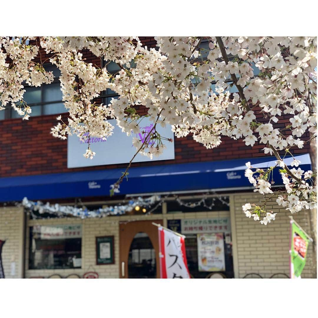 実咲凜音さんのインスタグラム写真 - (実咲凜音Instagram)「. Cafe＋Trattoria M (カフェトラットリアエム)のお店に ランチを食べにお邪魔しました☺︎🌸 イタリアンです☺️👌 美味しかった〜😊 チーズのピザがこれまた美味しかった‼︎ 写真はありささんと同じお洋服。 お借りしました☺︎ ありささんのご家族 パワフルで元気で楽しい‼︎ 素晴らしいゎ。本当。  今日は風が強かったけど 暖かかったね…。 桜も散り始めているところもあって あ〜まだ散らないでほしい。 ずっと咲いていてほしい。 と思ってしまった。  みりおん。 #三河島 #イタリアン #ランチ #カフェトラットリアエム #M #ありささんの家族は #パワフル一家です #お世話になりました」4月5日 19時29分 - misaki_rion