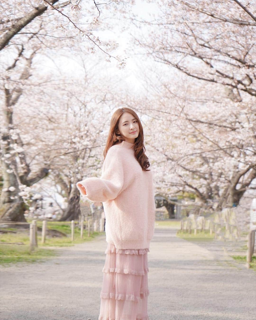 Giann Chanのインスタグラム：「Spring is a lovely reminder of how beautiful change can truly be. 🌸 . #Sakura #さくら #桜  #blossom #春 #springvibes  #ctytravelmap」