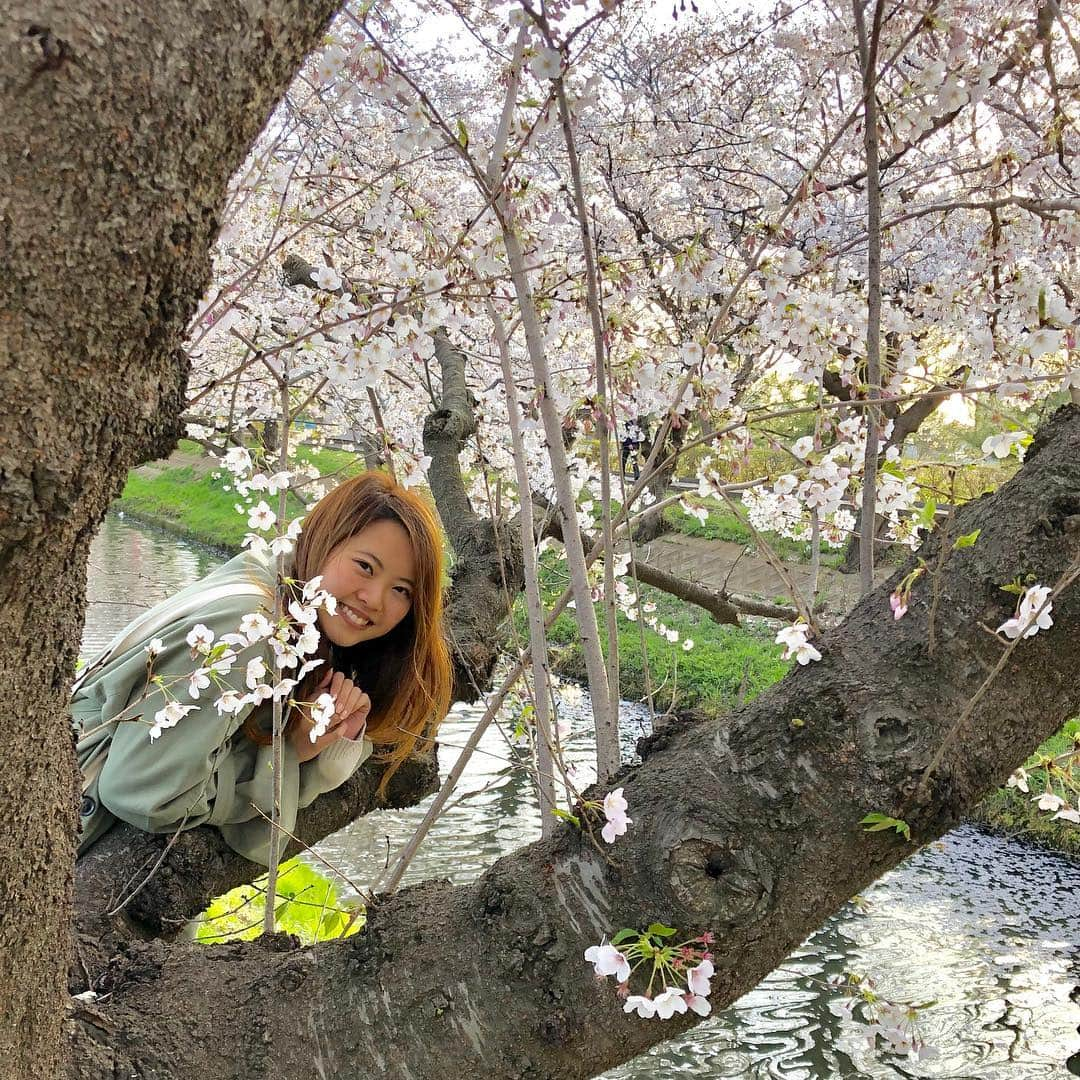 柴垣映里奈さんのインスタグラム写真 - (柴垣映里奈Instagram)「風が強くて桜がひらひらと綺麗でした^ ^  #春 #お花見 #桜」4月5日 19時35分 - cq_erina_s