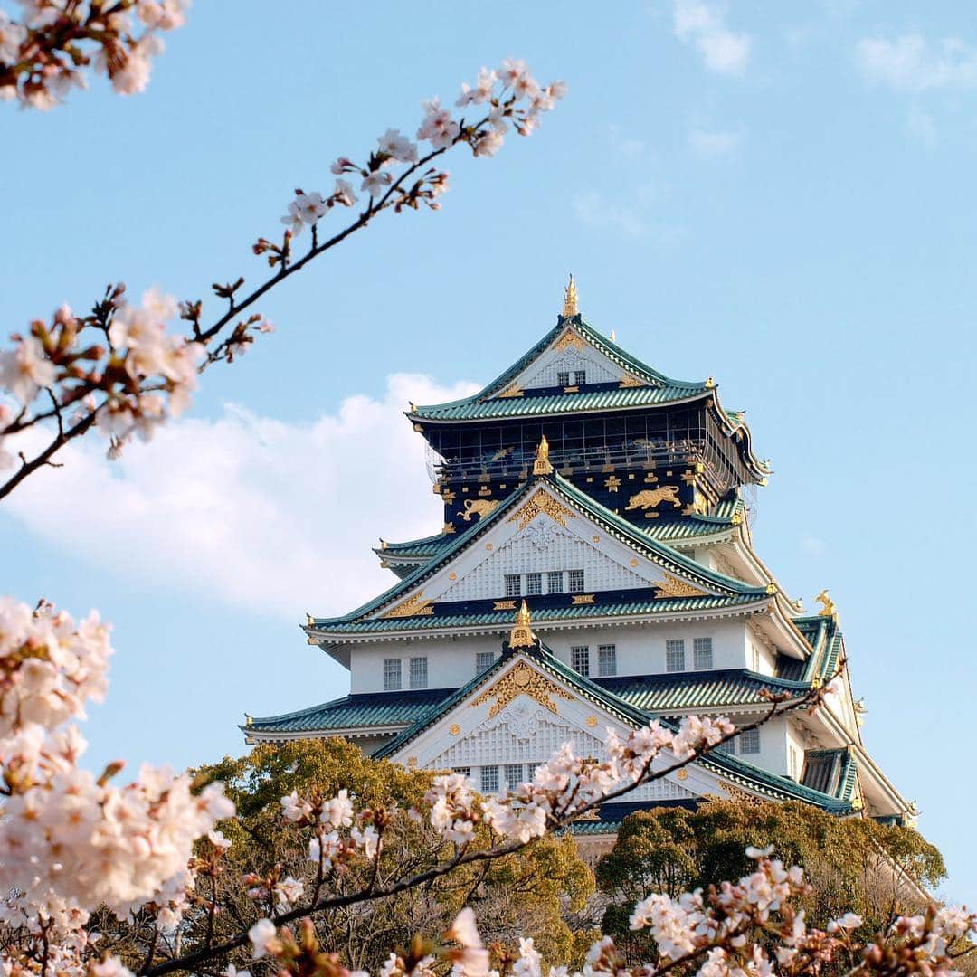 The Ritz-Carlton, Osakaさんのインスタグラム写真 - (The Ritz-Carlton, OsakaInstagram)「すっかり春らしくなり、今週末はお花見日和ですね。約3000本もの桜の木に囲まれた大阪城は、ソメイヨシノの満開の時期を迎え一年で最も美しい光景が愉しめます。皆様良い週末をお過ごしください。🌸 . . Warmer days mean more sakura! The weather is looking perfect for Hanami (cherry blossom viewing) this weekend. 🌸  Admire the stunning architecture of Osaka Castle, surrounded with over 3,000 cherry trees creating a picturesque view. We hope you have a wonderful weekend! . . . . . . . . #RCMemories #theritzcarltonosaka #osaka #japan #hotels #luxury  #japan_vacations #hotelroom #hotellife #beautifulhotels #travelandleisure #besthotels #luxurytrip #Sakura #桜 #beautifuldestinations #wonderfulplaces #大阪 #ザリッツカールトン大阪 #リッツカールトン大阪 #visitjapan #beautifuljapan #sakuraosaka #cherryblossoms #osakacastle #大阪城 #大阪城公園」4月5日 19時52分 - ritzcarlton.osaka