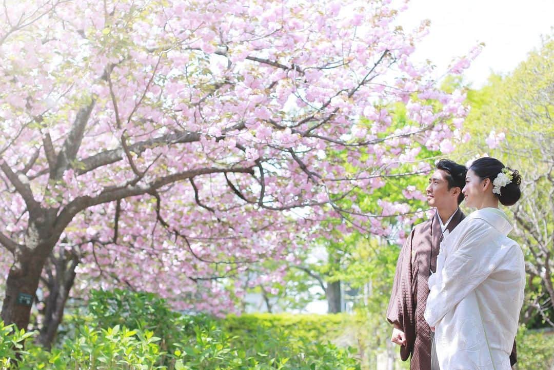 デコルテウエディングフォトグループさんのインスタグラム写真 - (デコルテウエディングフォトグループInstagram)「里桜って知ってる？ まだ間に合う、遅咲き「桜」特集🌸 4月中旬〜下旬に桜と撮影するならココ！﻿ ﻿ 3月下旬に開花する桜ですが、﻿ 実は品種によっては、﻿ 4月中旬以降でも楽しめるんです🙆‍♀️﻿ ﻿ たとえば、都内の「大田黒公園」の"里桜"は﻿ 4月中旬から下旬が見ごろ。﻿ ﻿ 蕾が大きく、ピンクの色が濃い桜は﻿ 乙女心をくすぐるかわいさで、写真映えも◎﻿ ﻿ 定番のウェディングドレスも素敵ですが、﻿ 人気の「淡い白無垢」のコーディネートが﻿ とても良く映えるのでオススメです。﻿ ﻿ 桜ロケについて相談しにきたお客様も、﻿ 実際の写真を見て里桜に決める方も多数！📸﻿ ﻿ 予約が埋まっていることもあり得るので、﻿ お考えの方は早めにお問い合わせくださいね。﻿ ﻿ 毎年4月が待ち遠しくなるような﻿ 美しい春のロケーションを﻿ 結婚写真と共にカタチに残しましょう💓﻿ ﻿ studio スタジオアクア新宿 @studioaqua.shinjuku﻿ photographer 高山省吾 @s.takayama_wedding﻿ ﻿ #里桜 #大田黒公園 #桜 #桜🌸 #桜並木 #春 #2019年春婚 #白無垢 #富士 #cherryblossoms #ウェディングフォト #結婚写真 #フォトウェディング #ウェディングヘア #ウェディングニュース #ウェディングヘアスタイル #結婚式コーデ #ロケーション撮影 #前撮り #花嫁準備 #花嫁コーディネート #ウェディング #卒花嫁 #結婚準備 #花嫁 #d_weddingphoto #デコルテ #フォトジェニックブライドアンバサダー」4月5日 19時54分 - decollte_weddingphoto