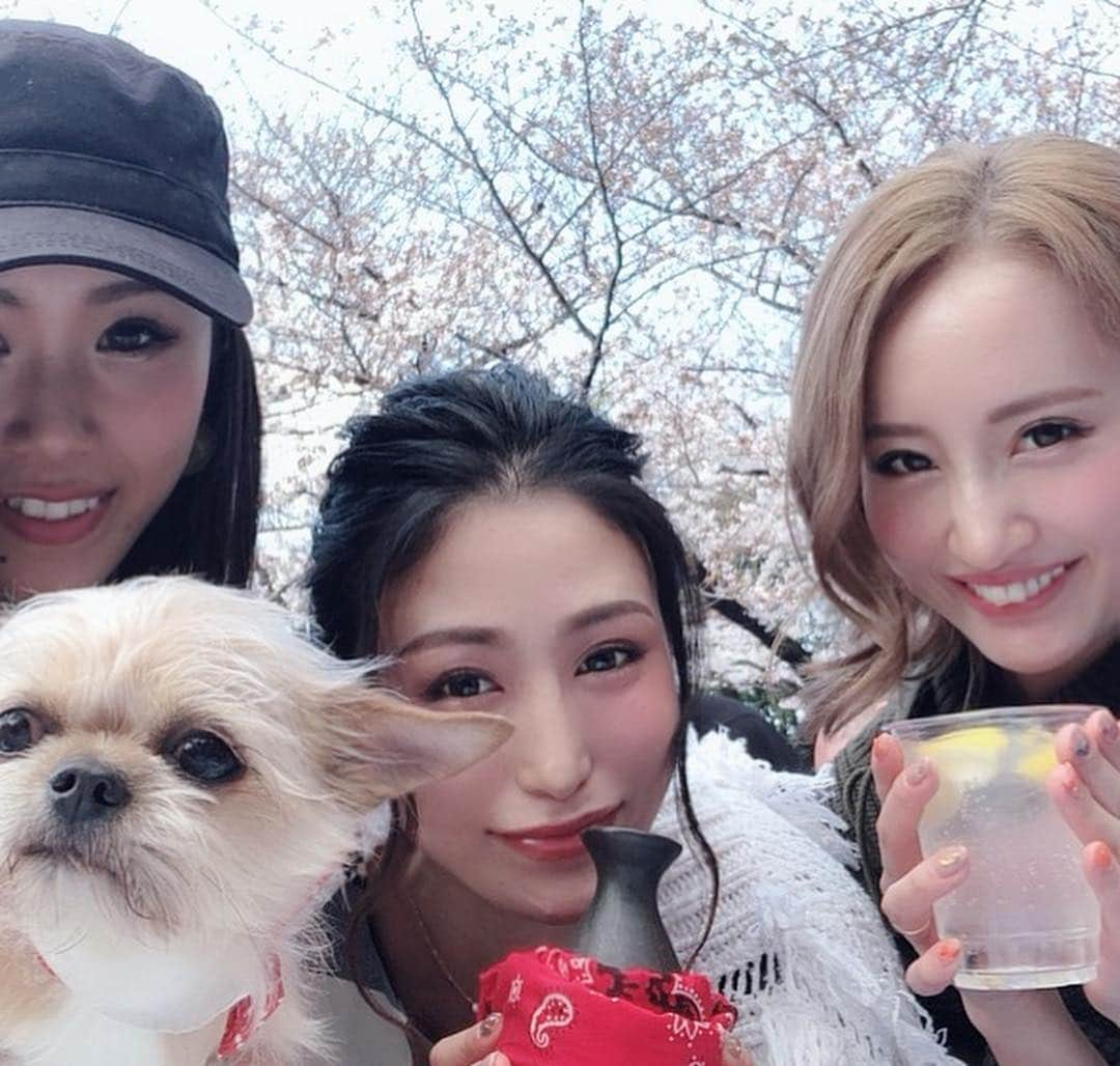 YUKAさんのインスタグラム写真 - (YUKAInstagram)「先日のお花見🌸🍶💓 🐶も👶もいてわちゃわちゃ楽しかったなー🥰✨ 今夜はele出演だよん💃 . #お花見 #friends #代官山 #西郷山公園」4月5日 19時56分 - yukarolly