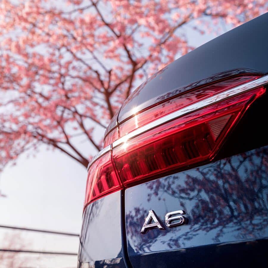 アウディ ジャパンさんのインスタグラム写真 - (アウディ ジャパンInstagram)「精巧に形づくられた9つのライトフィンが、そしてリアビューを彩るアルミニウムストリップが、春の柔らかな日差しを受けて輝く。  Audi A6 Avantのディテールは見れば見るほどに美しく、いつも新しい発見があります。  #Audi #A6 #AudiA6 #Audijapan #桜 #sakura #ドライブ #伊豆　#MomentswithAudi #Audigramm #carporn」4月5日 20時00分 - audijapan