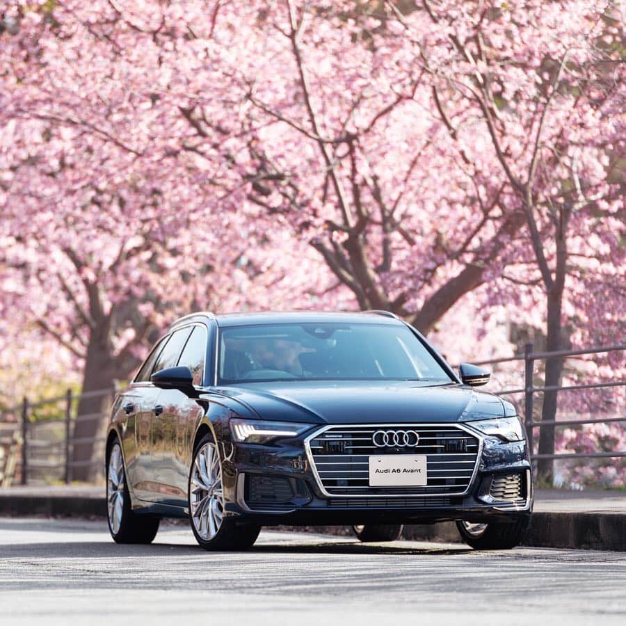 アウディ ジャパンさんのインスタグラム写真 - (アウディ ジャパンInstagram)「精巧に形づくられた9つのライトフィンが、そしてリアビューを彩るアルミニウムストリップが、春の柔らかな日差しを受けて輝く。  Audi A6 Avantのディテールは見れば見るほどに美しく、いつも新しい発見があります。  #Audi #A6 #AudiA6 #Audijapan #桜 #sakura #ドライブ #伊豆　#MomentswithAudi #Audigramm #carporn」4月5日 20時00分 - audijapan