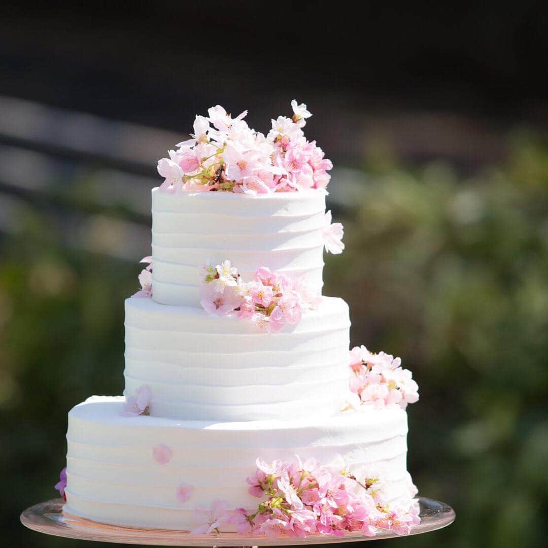 アマンダンヒルズのグルメインスタ