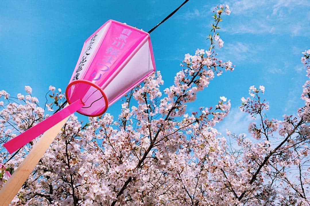 ヤオ・アイニンさんのインスタグラム写真 - (ヤオ・アイニンInstagram)「#中目黑の桜 🌸 (◍ ´꒳` ◍) 生活在東京第一次覺得很幸福 應該是角色帶給我的禮物吧 就像戴天雨一樣是個直率快樂的孩子 啊～～～ 很希望可以快點跟大家見面ㄋ #pipiism」4月5日 20時07分 - ipipy20000