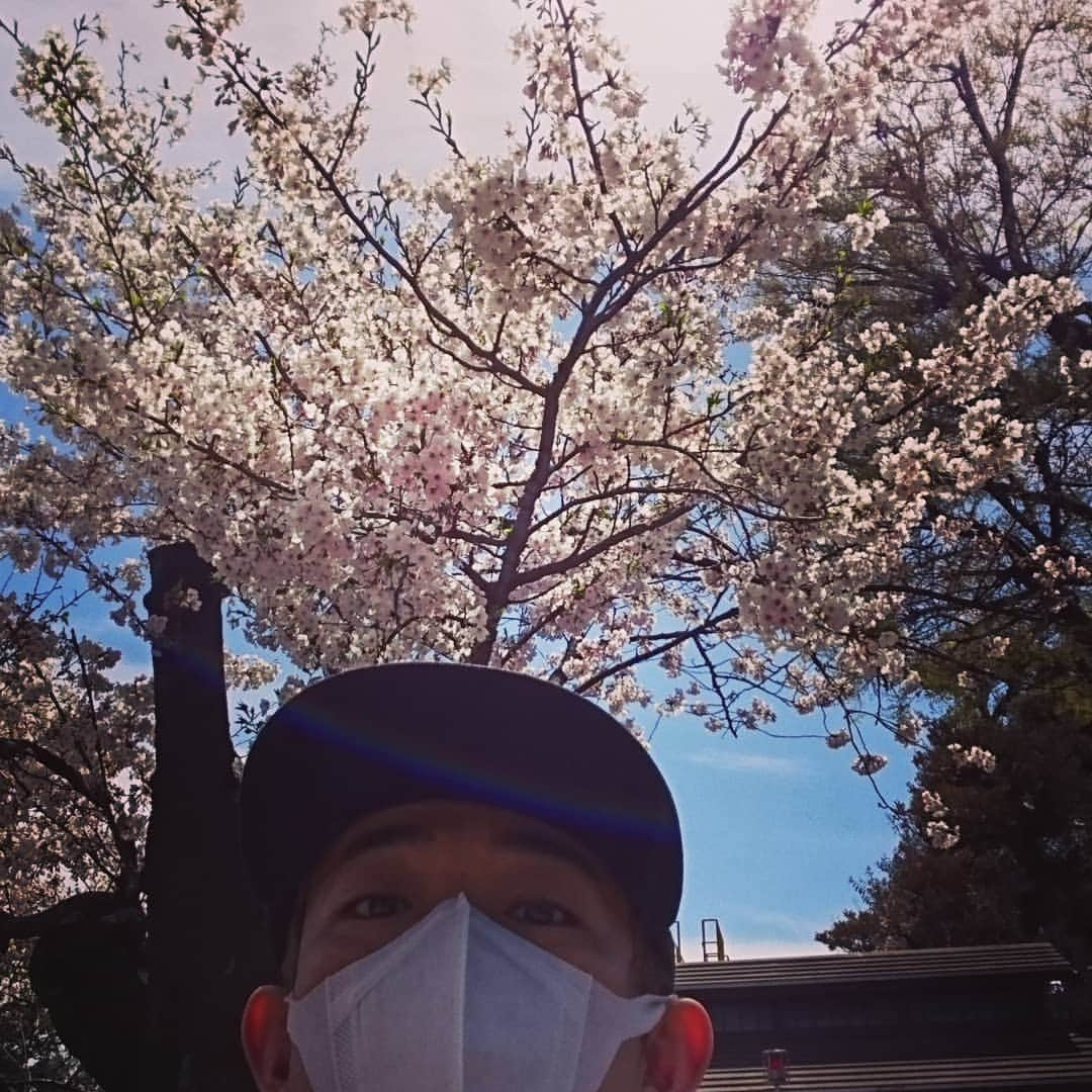 ファンキー加藤さんのインスタグラム写真 - (ファンキー加藤Instagram)「#平成最後 の #桜」4月5日 20時10分 - funkykato_funkykato_funkykato