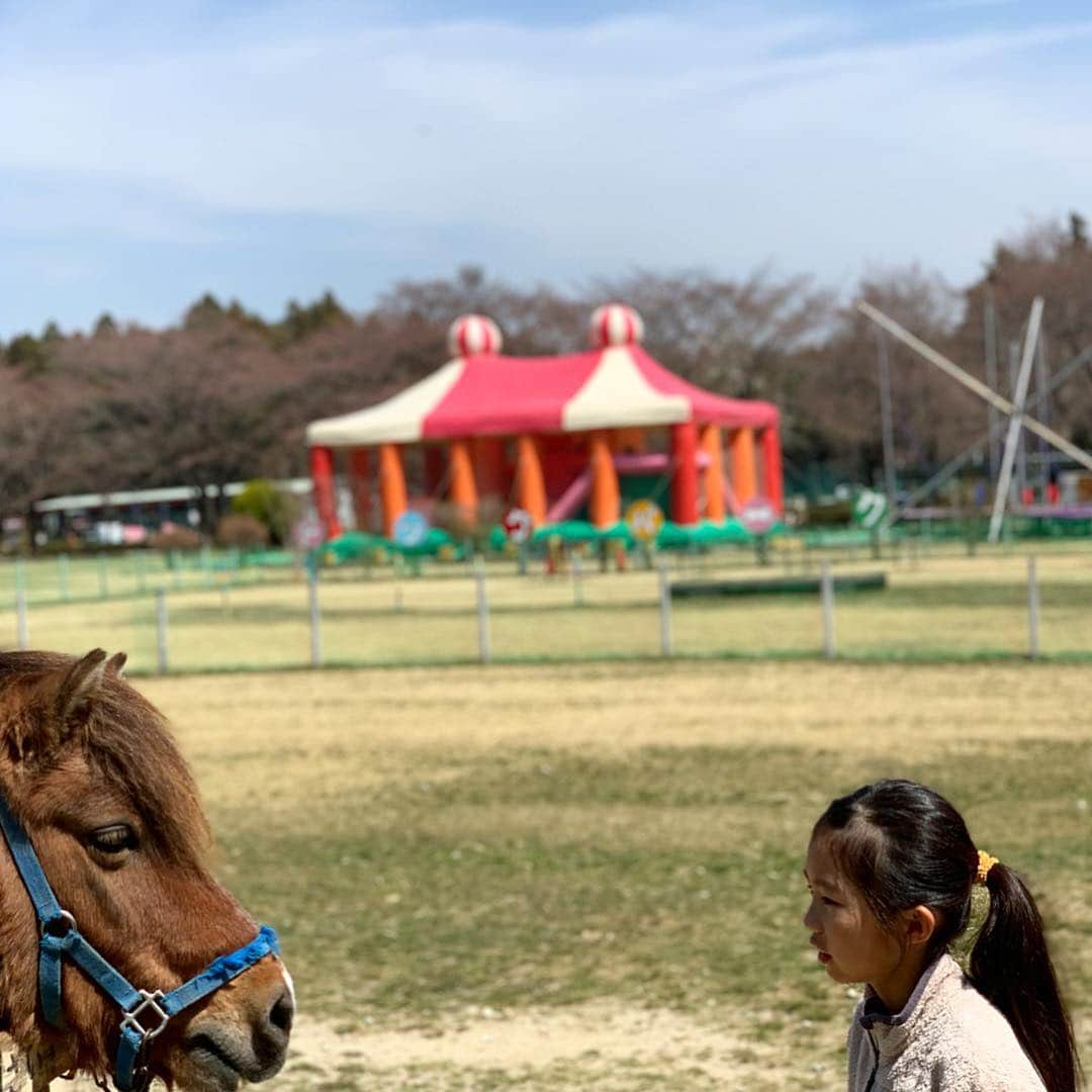 AYUMIさんのインスタグラム写真 - (AYUMIInstagram)「娘と乗馬を お馬さん、ありがとう☺️☺️ . . #乗馬体験 #娘と #ありがとうね #お馬さん #AYUMIアウトドア」4月5日 20時16分 - ayumiayunco