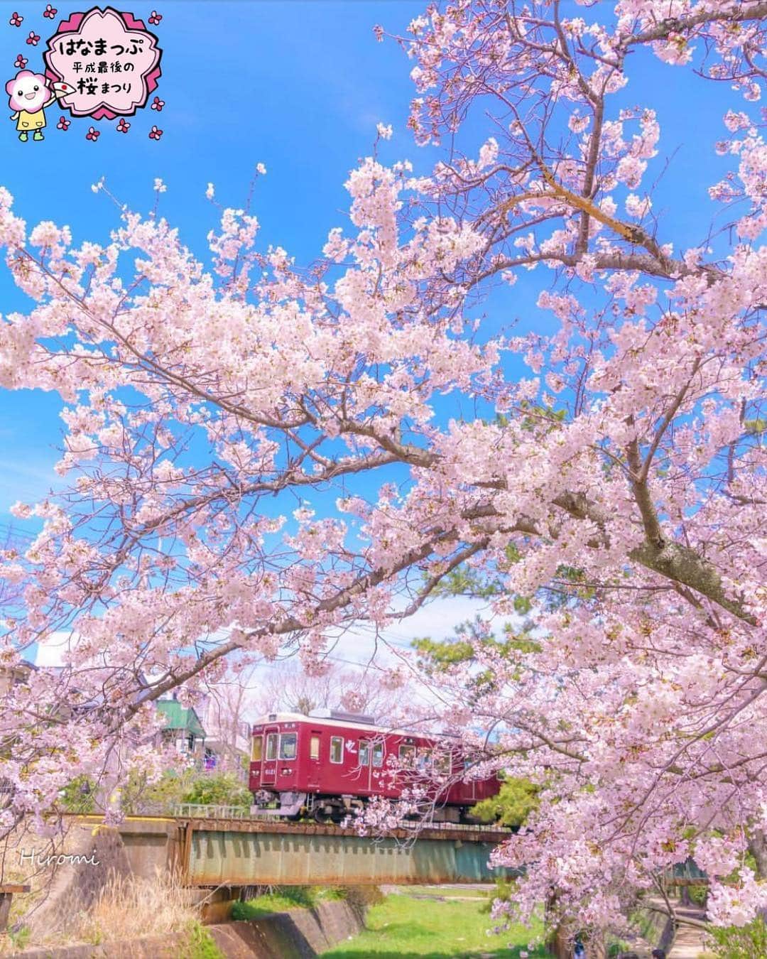 はなまっぷ❁日本の花風景のインスタグラム