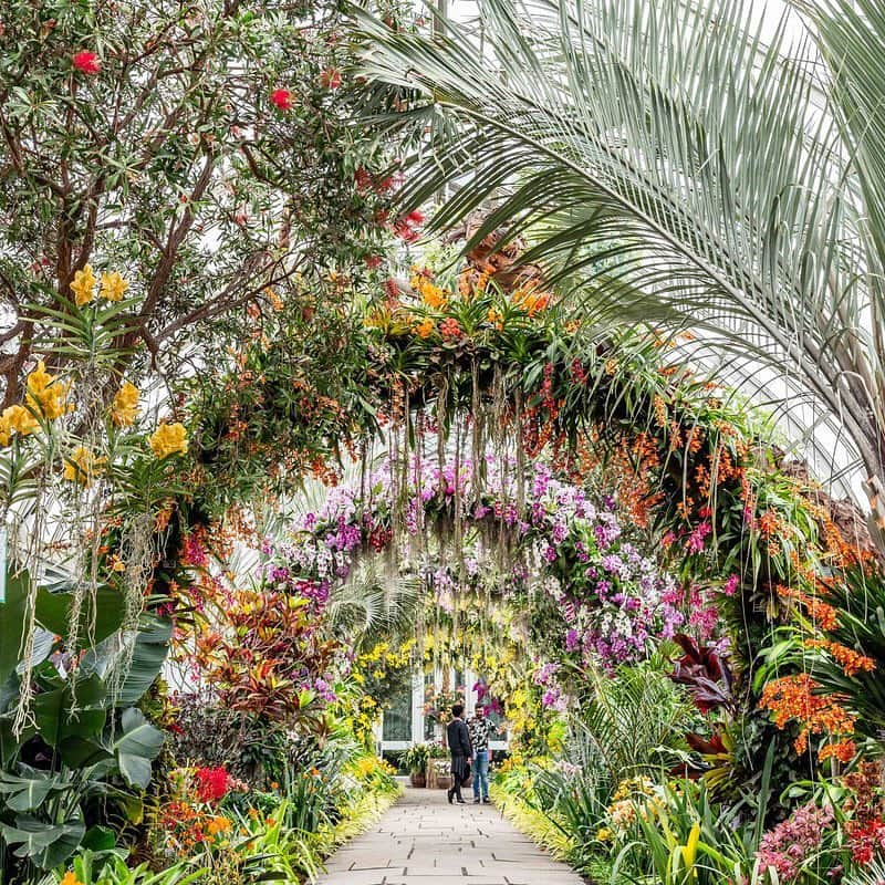 ニューヨーク植物園のインスタグラム