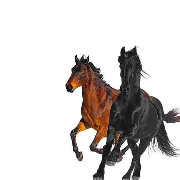 のインスタグラム：「@LilNasx teamed up with @billyraycyrus for a new flip on “Old Town Road” - grab your yeehaw juice and stream it now 🤠 [link in bio]⁣」