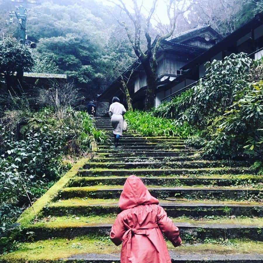 のインスタグラム：「0と繋がる。 マウイから京都へ。 ゼロロジー。  マウイの母Mikaさんに京都の 志明院へご案内頂きました。  車で山奥へ進み、 着いた先はポツリポツリ雨。  神聖な空氣が流れる。 ここは、鴨川の源であり、 もののけ姫誕生のきっかけとなった場所なのだそう。  確かにシシガミの森！ 前回、実家に帰ったときに 公開当時のパンフレットが見つかり、 娘がそれにハマって何度も一緒に読み 最近映画も観ていたので このタイミングで？！✨ 一昨日も「張りつめた〜弓の〜」を ウクレレ片手に エンドレスで歌っていた。  山門をくぐると雨がぴたりと止み、 ここは！という場所に立つとまたポツリ。こんな雨の降り方初めて。  クレンジングであり、 なんだか遊んでくれているようにも感じる。  2歳児にはハードルが高いかなという 石の階段もMikaさんのガイドとサポートで、まるでこだまのようにスルスル上っていく娘。  空氣の純度、香り。 1月に行った大分の霊山を想い出す。 私にとっての0の場所。 そこに立った時に見えたもの、 感じたものがここに繋がった。  Mikaさんは「皆んなの心を裸にしたい」と言う。 一番芯にある真の自分。 そこが見えてくる京都の旅。  ありがたいという氣持ちが 湧き水のように溢れ出してくる。  これから芽吹く。 その直前の冷たい恵みの雨。 なるほど。  Mikaさんへ心からの感謝✨ *** Mikaさんは、京都リトリートも やっていらっしゃいます。  ここ志明院はマストな場所なのだそう。惹かれた方は是非。  http://www.tarotdeparis.com/320053159178  #京都 #志明院 #もののけ姫 #マウイ #マウイの母 #Mikaさん #感謝 #22 #0 #ゼロロジー #魂の旅  #ツタエルヒト。」