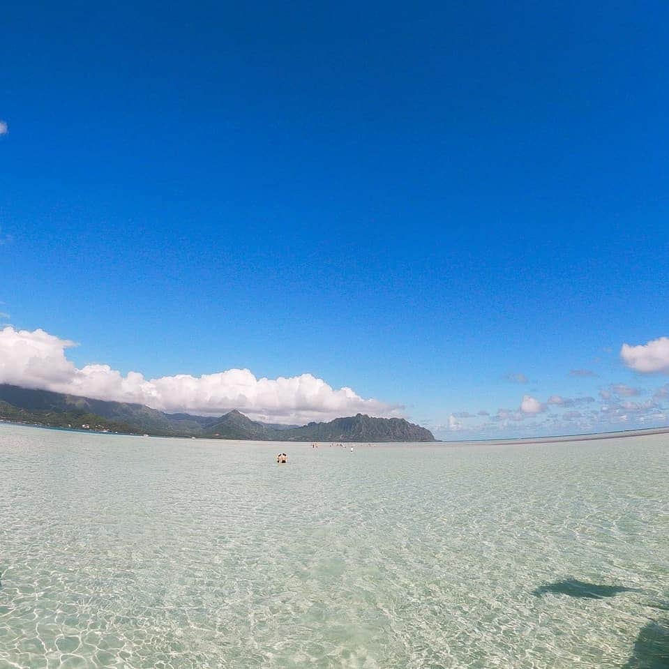 Luxury Cruise by Captain Bruceさんのインスタグラム写真 - (Luxury Cruise by Captain BruceInstagram)「この日は、夏？ というぐらい暑く、皆様海で遊んでランチモリモリ、また海で遊んでと、ツアーを思い切り楽しまれていました^^ 🔹⛵🔹🐢🔹🌺🔹🌴🔹 #captainbruce #sandbar #kaneohe #hawaii #oahu #oahulife #ahuolaka #キャプテンブルース #天国の海 #アフオラカ #ハワイ大好き #絶景 #やっぱり海が好き」4月6日 6時49分 - cptbruce_hi