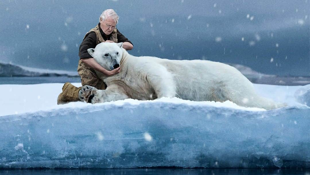 ジ・オニオンさんのインスタグラム写真 - (ジ・オニオンInstagram)「Shocked ‘Our Planet’ Viewers Watch As David Attenborough Enters Scene To Break Neck Of Starving Polar Bear⁣ ⁣ Visit link in bio for full story. #TheOnion」4月6日 7時09分 - theonion