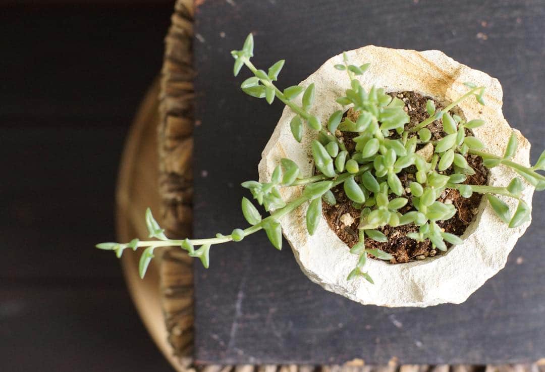 MILLE ECLAT.のグルメインスタ