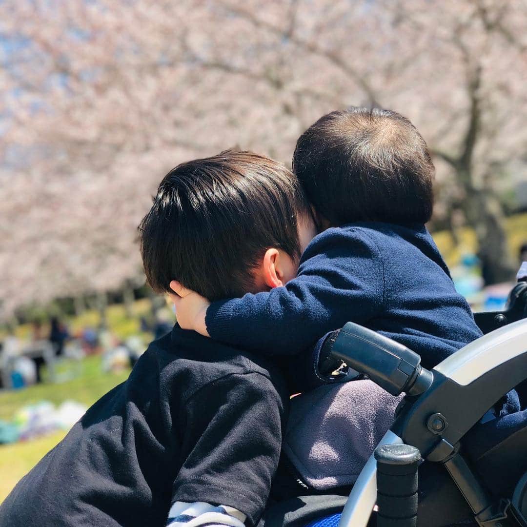 鶴谷和俊のインスタグラム：「4月になりましたね🌸 今年は去年の反省も踏まえ、焦らずマイペースを心掛けます✨ 2019年はいろんな出会いでスタートしました🏃‍♂️ 凄く楽しめています✂️ 2018年のこの時期は本当に余裕なく、いろんな挫折を経験しました！！ そしてたくさんの方に救ってもらいました🙇‍♂️ 本当に感謝です✨ そして 辛い経験をしたから今年は違う景色が見えています✨ 本当に辛かったけど辛い経験が今の自分を成長させてくれたと思います‼️ 小さな幸せすら感じれなかった自分が 今が幸せと思えてる事が本当に良かったと思います🥴 今年は 焦らずコツコツと‼️そしていろんな人に出会い、学ばさせて頂こうと思います🙋‍♂️ そして新たなチャレンジはし続けます‼️ トライアンドエラーを繰り返し自分らしく頑張ろ🔥 毎年同じように咲いてる桜ですが 僕の中では今まで見た事ないくらい綺麗だと思います🌸 桜のパワーを頂きました✨」