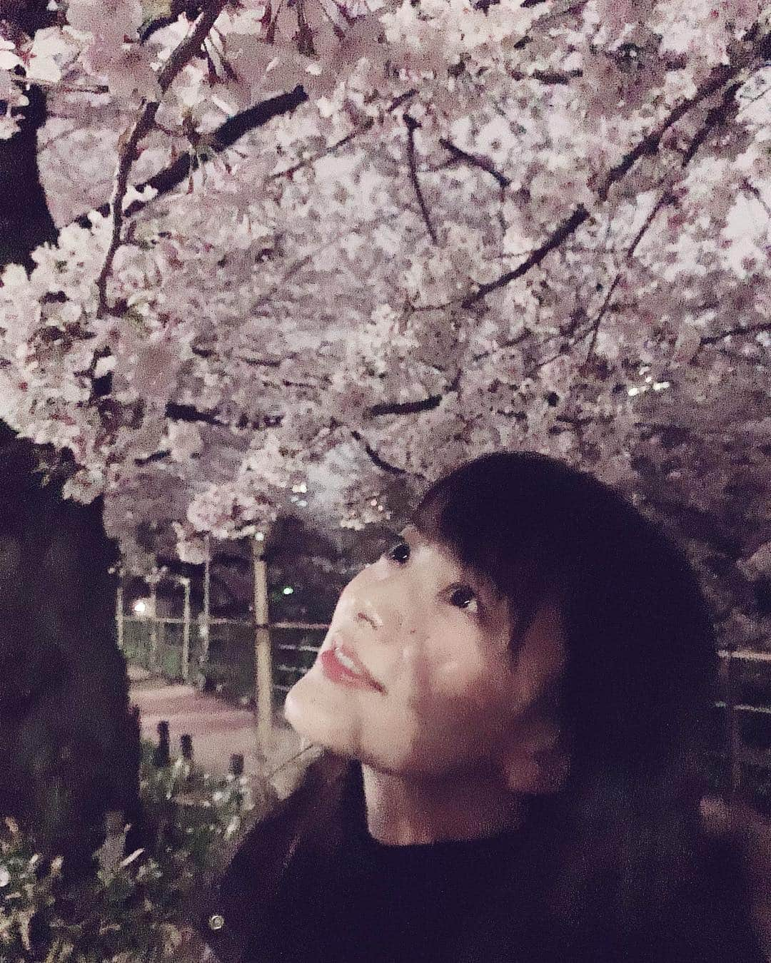 渡部瑞貴さんのインスタグラム写真 - (渡部瑞貴Instagram)「夜桜、散歩。ライトアップ終わってた泣。 けども綺麗。  #桜#さくら#夜桜#散歩#千鳥ヶ淵#春#」4月5日 22時25分 - watanabemizuki_official