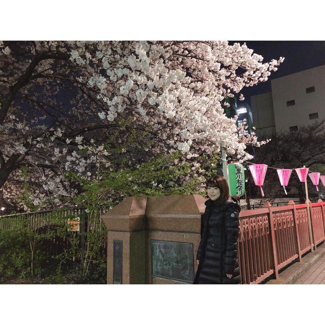 倉窪莉沙のインスタグラム：「* 久しぶりの東京出張。仕事終わりに念願の目黒川へ🌸夜桜、美しかった〜🥺🌸その他にも関東に住む妹に会いに行ったり、子供服のお店をめぐったり...💕おひとりさま時間を満喫しました💘いつも育児のサポートをしてくれる家族に感謝🙏🏻✨ . 娘の笑顔を楽しみに大阪に帰ってきましたが、「この人誰？」と言わんばかりの真顔で少しの間目を合わせてくませんでした🙄笑 . #東京 #出張 #アナウンサー #ママ時々アナウンサー #さくら #桜 #sakura #目黒川 #SAYEGUSA #jacadi #nanan」