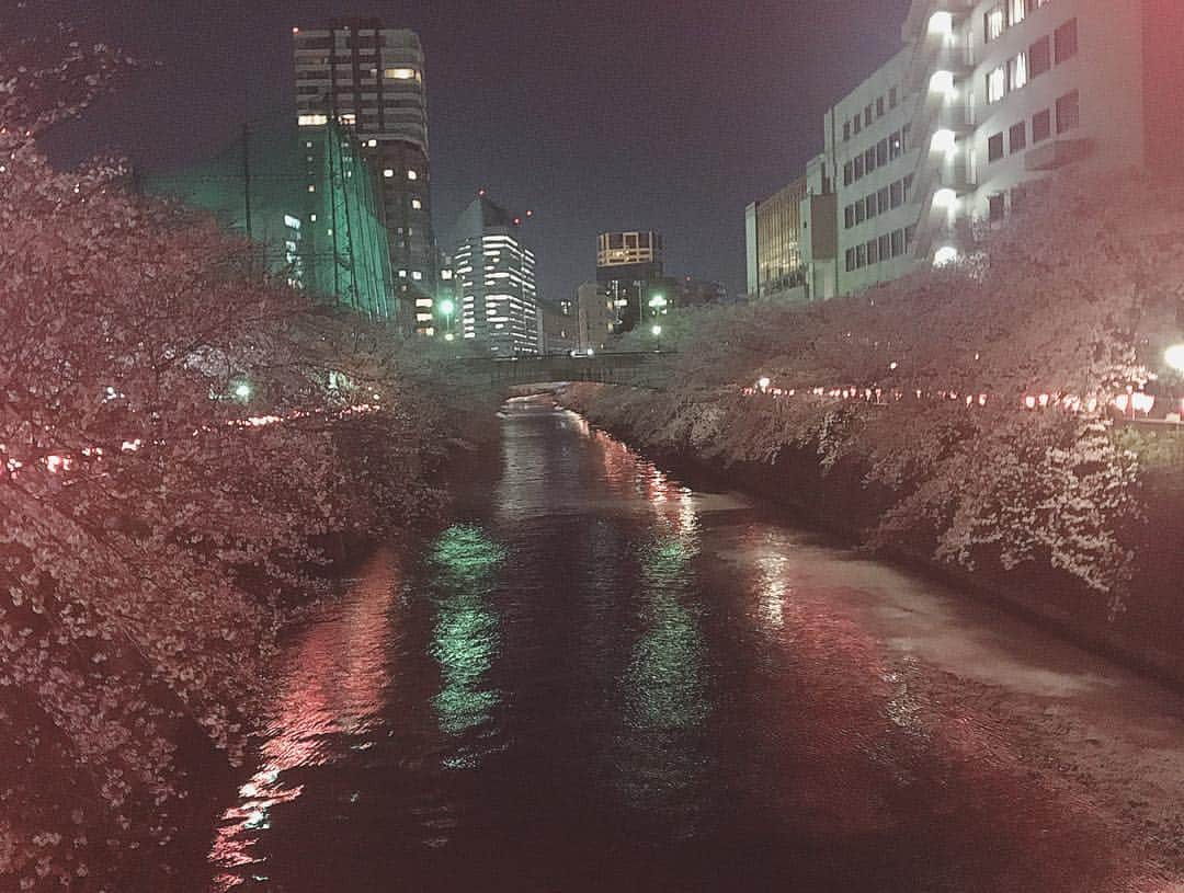 百瀬ひとみさんのインスタグラム写真 - (百瀬ひとみInstagram)「目黒川で夜桜🌸  よし、今日からいろいろ切り替えて 頑張っていこう！  #中目黒 #目黒川 #夜桜 #花見」4月5日 22時42分 - hitomi__momose