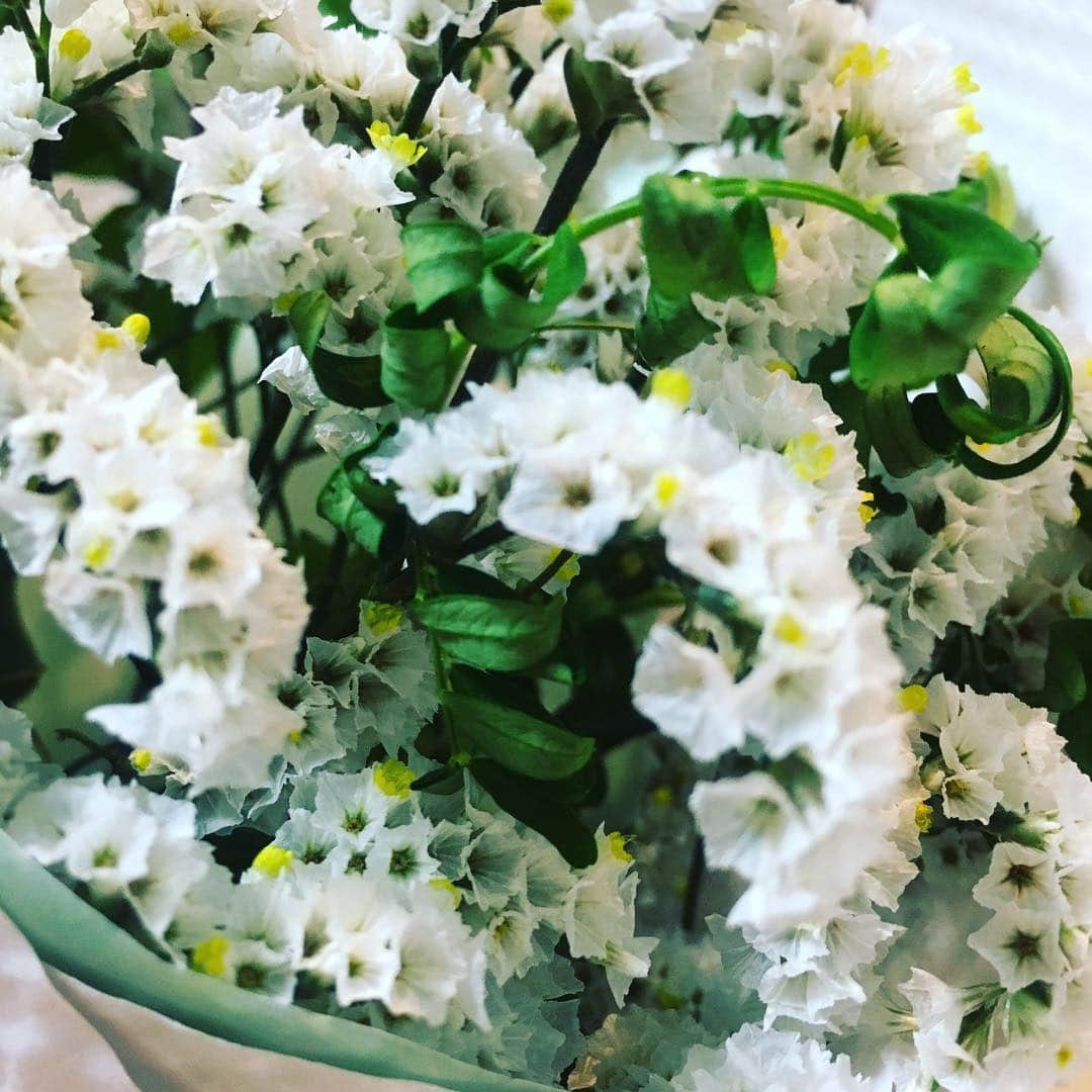 瀬戸かほさんのインスタグラム写真 - (瀬戸かほInstagram)「スターチス #瀬戸かほ花記録」4月5日 22時50分 - kahoseto06