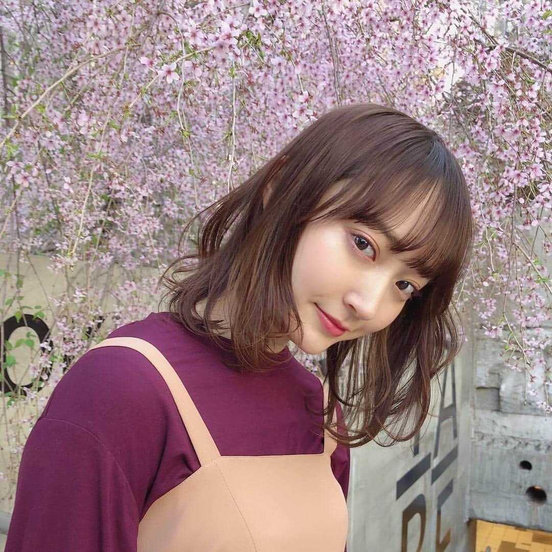 磯俣愛さんのインスタグラム写真 - (磯俣愛Instagram)「桜とともに撮りたいゆーて そらとぅに呼ばれて行ったけども、 欲しいところになくて 銀座を歩き回りましたら、 こんなにも細かい桜たちがァァァア . . . #SHIMA#桜#お花見#🌸」4月5日 22時53分 - ai_isomata