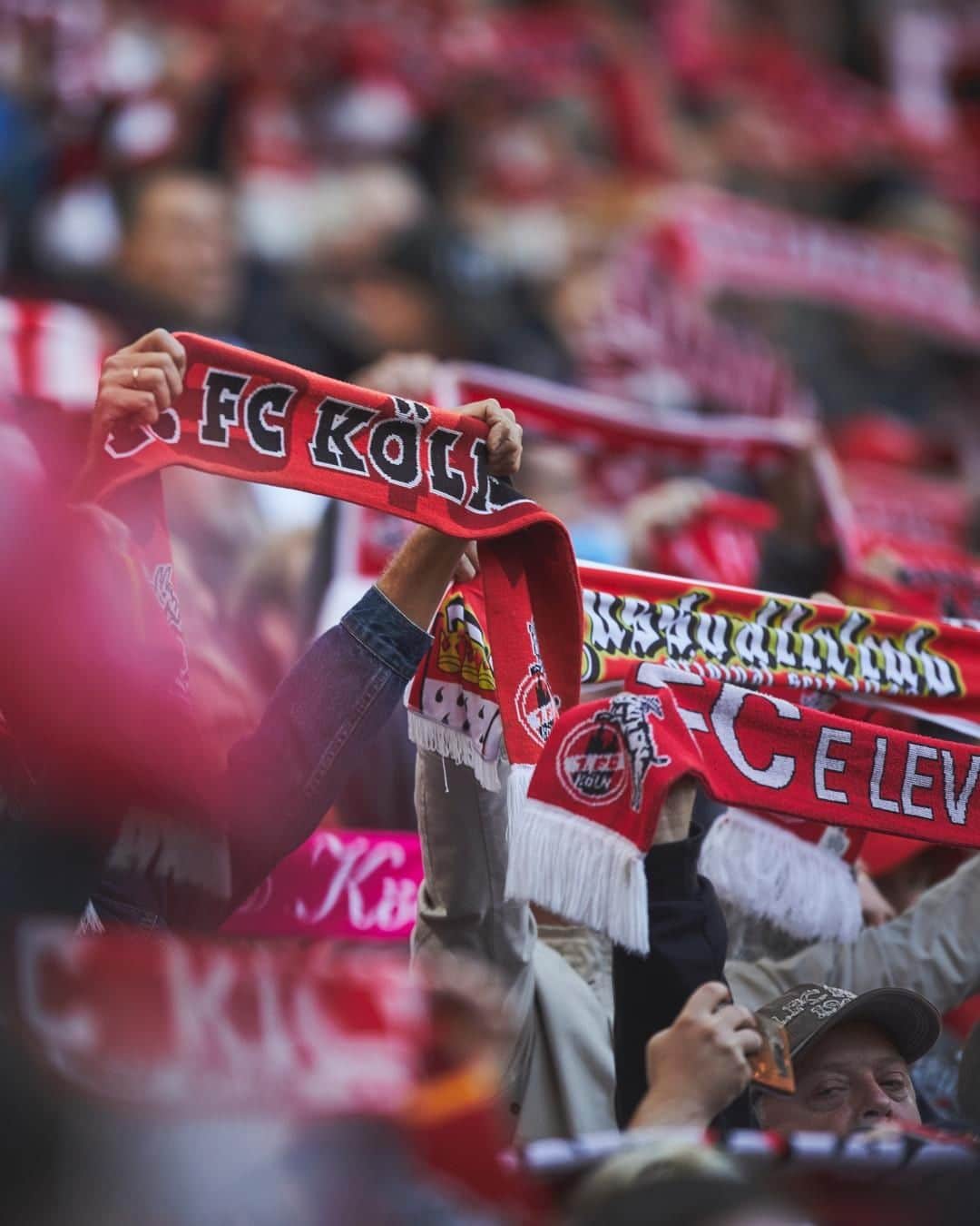 1.FCケルンさんのインスタグラム写真 - (1.FCケルンInstagram)「❤⚪ 2.000 #effzeh-Fans begleiten die Mannschaft nach Heidenheim!  ___ #FCHKOE #instasport #Köln #cologne #kölle #köllefornia #liebedeinestadt」4月5日 23時00分 - fckoeln
