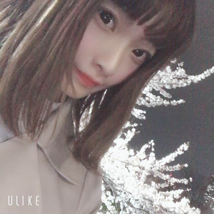 百瀬ひとみのインスタグラム：「インスタには珍しい自撮り #夜桜 #目黒川」