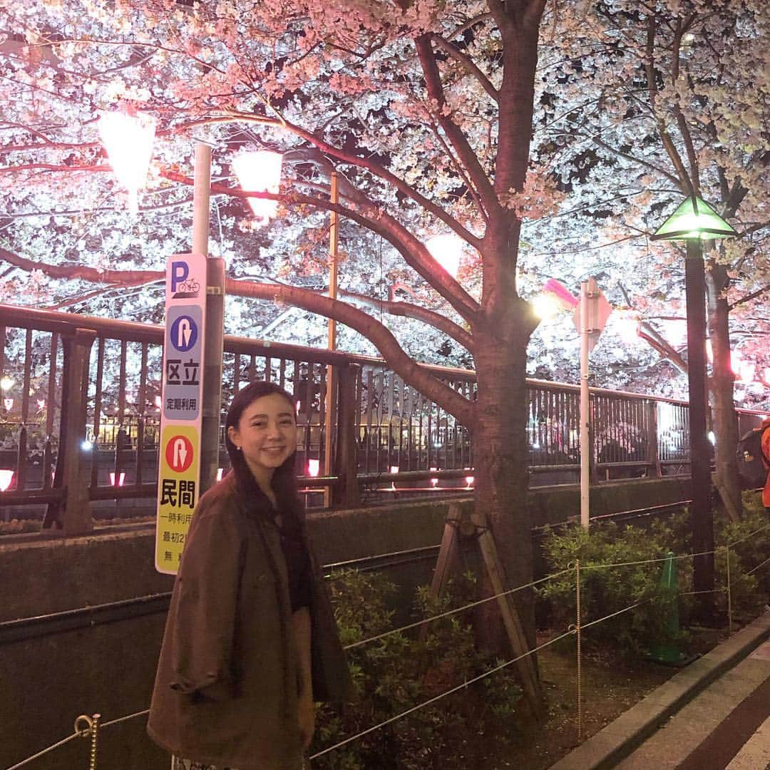 のインスタグラム：「* * 今シーズン2度目の中目黒 🌸 . 今回はいちごスパークリング🍓など 可愛い映え物ではなく ビールに焼き鳥食べました🍺 #最高 . . #中目黒 #お花見 #花見 #夜桜」