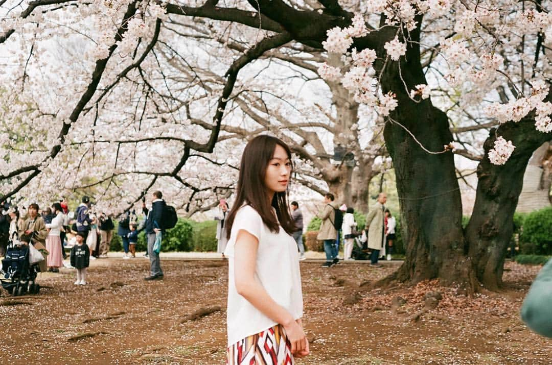 真崎かれんさんのインスタグラム写真 - (真崎かれんInstagram)「📷 by マネージャーさん #film #nikon #nikonfe」4月5日 23時26分 - karen_masaki