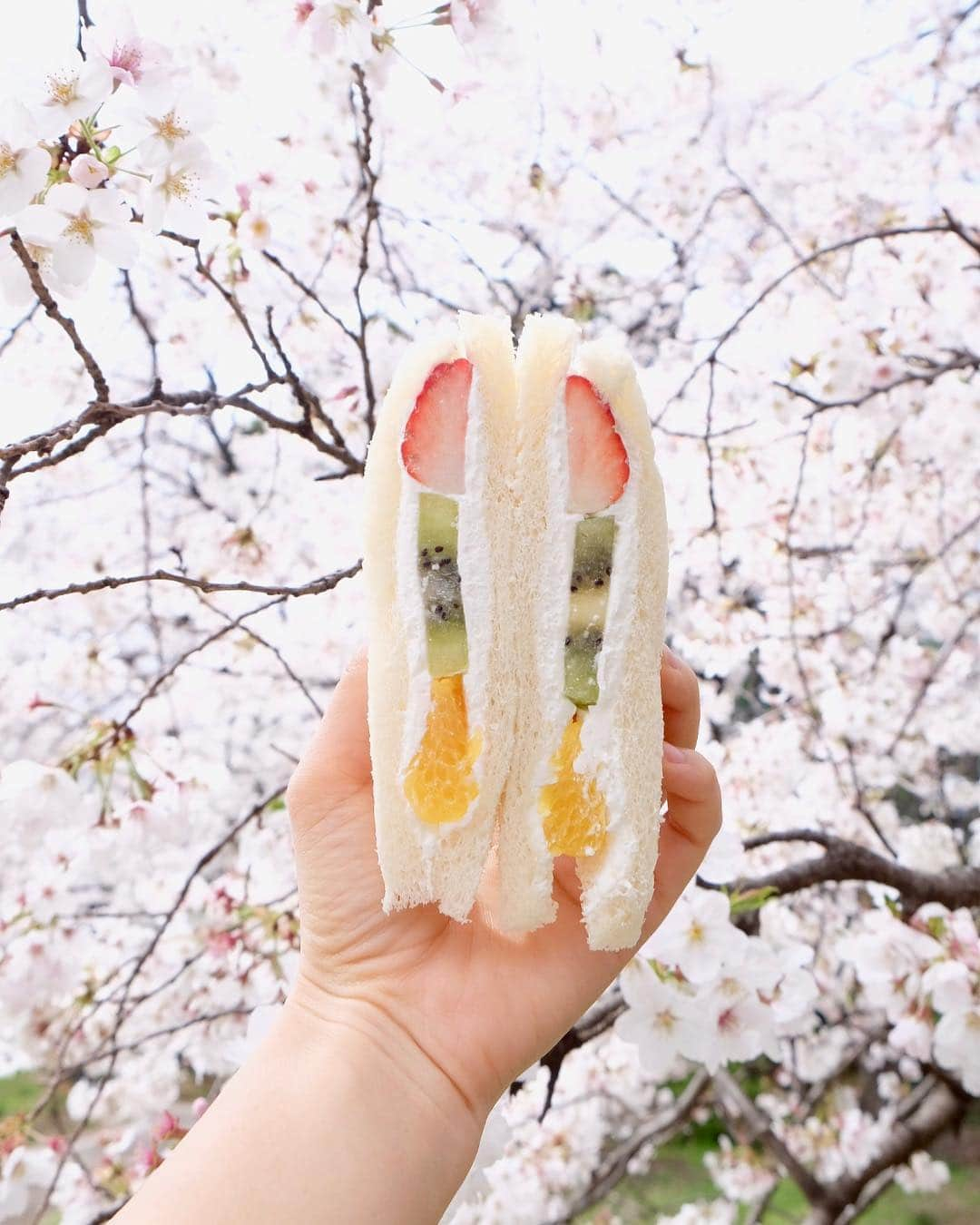 武智志穂さんのインスタグラム写真 - (武智志穂Instagram)「🍓🥝🍊 ‌ #東京 #砧公園 #桜 #お花見 #フルーツサンド #最高 #今年3回目の砧公園でのお花見 #何食べても美味しく感じるシチュエーション」4月5日 23時19分 - shiho_takechi