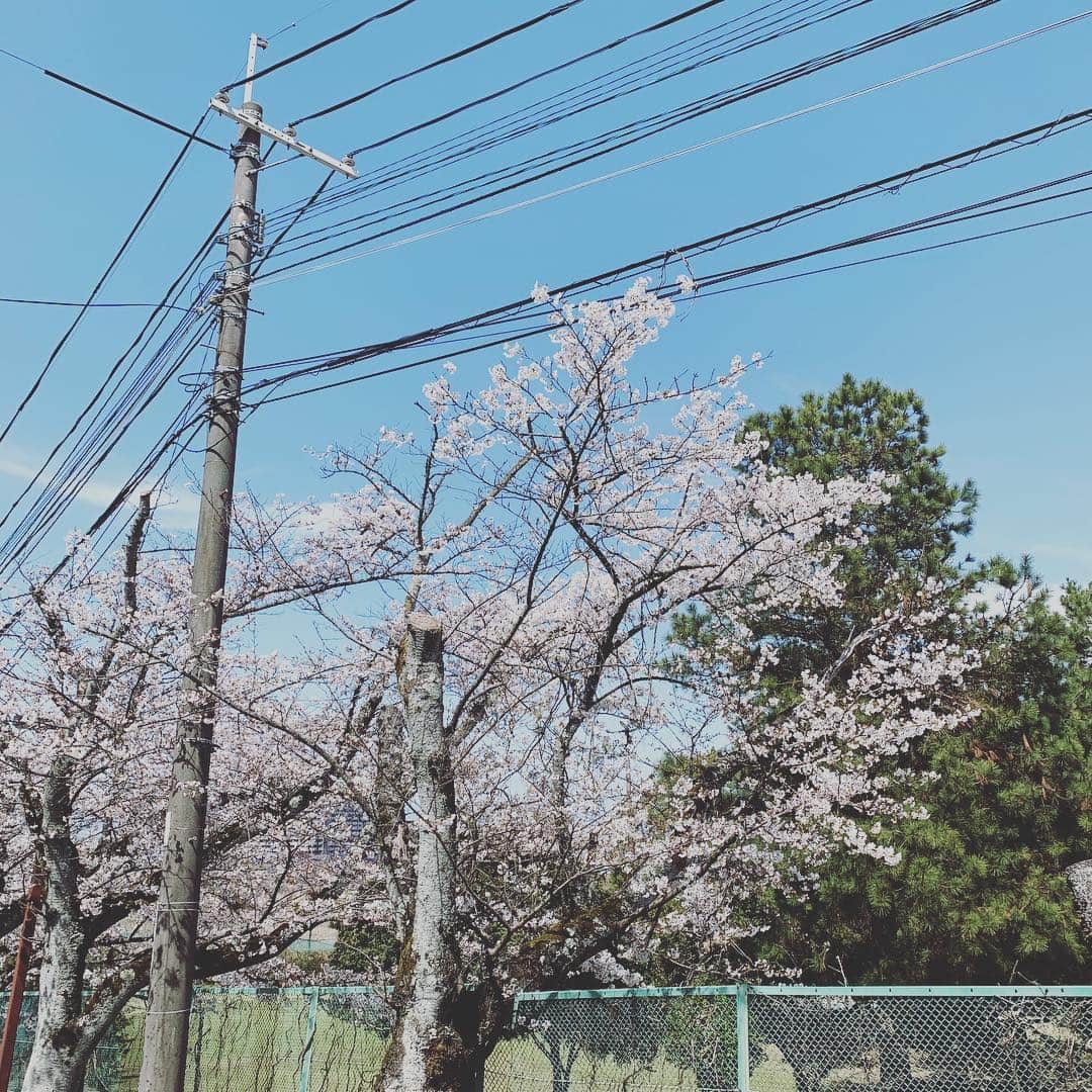 福田裕子さんのインスタグラム写真 - (福田裕子Instagram)「今日は暖かくて楽しい一日だったなぁ♫ 桜も綺麗🌸  #お花見 #牛乳石鹸  #filaゴルフ  #fgスナップ  #コラントッテ  #マルトミ工業」4月5日 23時25分 - yuko_fukuda_g
