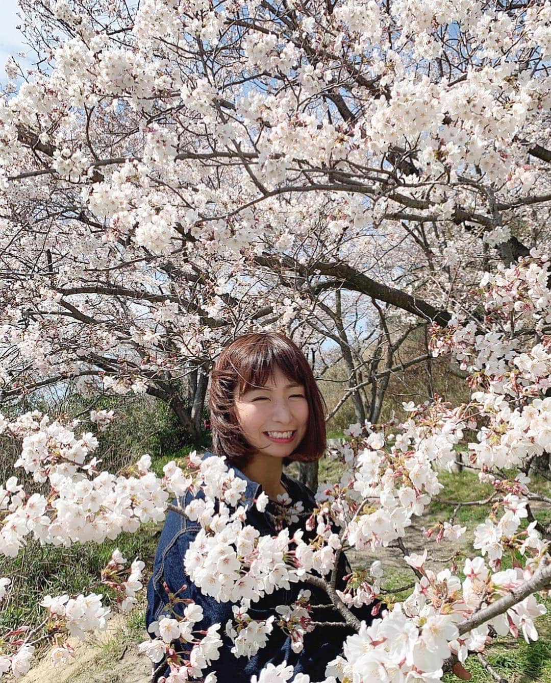 稲富菜穂さんのインスタグラム写真 - (稲富菜穂Instagram)「今年は桜咲くのが遅くて沢山お花見出来てる🌸✨. . 今日も天使と友達とお花見🌸. あと少し咲いたら満開かなぁ☺️. ポカポカで気持ちよかったなぁ🌤. . #桜 #sakura #お花見 #花見 #🌸. #天使 #ボイスメッセージで誘ってくれる #予定があって友達と会うのと言うと #誰と遊ぶのー #競馬の友達ってだれー #なんで遊べないのー #って言ってくる #可愛すぎる #大好き #その日は競馬女子で花見でした #🌸」4月5日 23時35分 - inatomi74