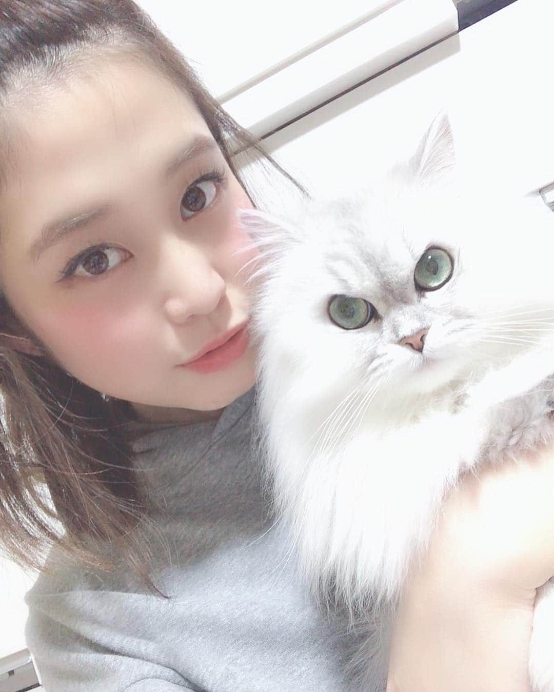 橘花凛さんのインスタグラム写真 - (橘花凛Instagram)「なかよしりんだいふく😽 大福ちゃんアカウントフォロワー1100名さま突破！ありがとう✨ @daifukutakahashi  明日は大阪🥰おやすみ💕」4月5日 23時44分 - rintakahashi0809