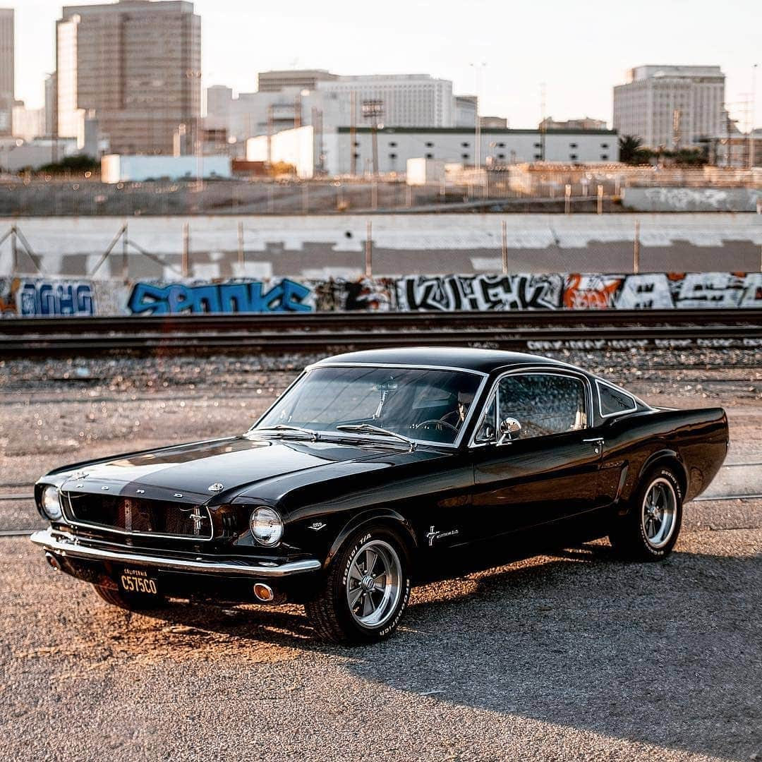 Classics Dailyさんのインスタグラム写真 - (Classics DailyInstagram)「@ClassicsDaily | '65 Fastback _ #mustang #fastback #americanmuscle #musclecar #classiccar #classicsdaily _ Photo @tjl_petrol Owner @jordanmakesjeans」4月5日 23時47分 - classicsdaily