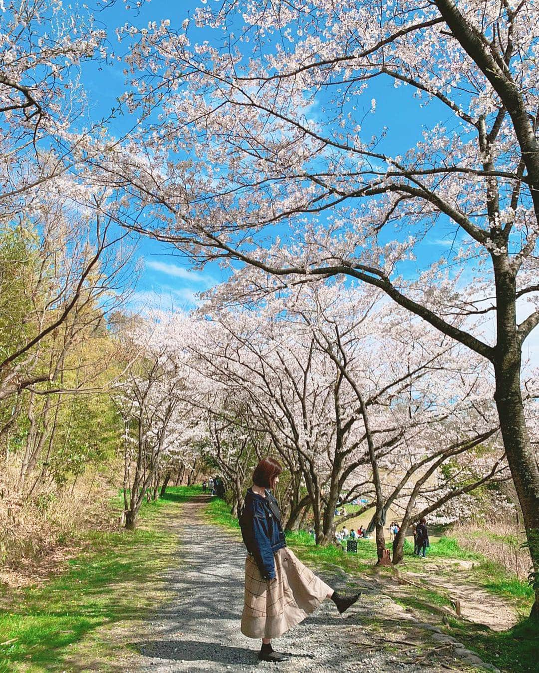 稲富菜穂さんのインスタグラム写真 - (稲富菜穂Instagram)「写真を明るくしたら、 更に綺麗な感じになりました😊🌸. . でも本当に綺麗な空と 可愛い桜のコントラストは最高でした💘. . #桜 #お花見 #花見 #sakura #🌸 #片足上げたらオシャレになると信じてる #太陽ポカポカ #気持ちよかった #🌤」4月5日 23時54分 - inatomi74