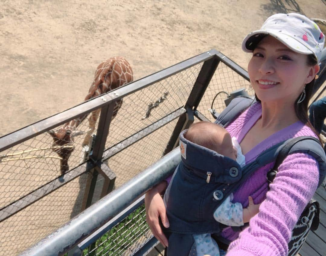 空さやかさんのインスタグラム写真 - (空さやかInstagram)「* 愛生がだいすきな京都市動物園へ。 * 好きな動物は、「ぞうしゃん！🐘きりんしゃん！🦒」 今日どの動物が一番楽しかったかは「ライオンしゃん！🦁」と答えてましたw ライオンはただ寝転がってただけやったのに🙄 * 尊は終始zzz😪 動物のウィルスをもらって免疫を高める目的は達成。 * 個人的には、至る所に桜🌸が咲いていて嬉しかった♡ ようやく暖かくなってきたしピクニックやらお出かけやらたくさんしたいねー♪ * * #animals #zoo #kyoto #京都市動物園 #動物園デビュー #桜🌸」4月5日 23時55分 - sky_sayaka