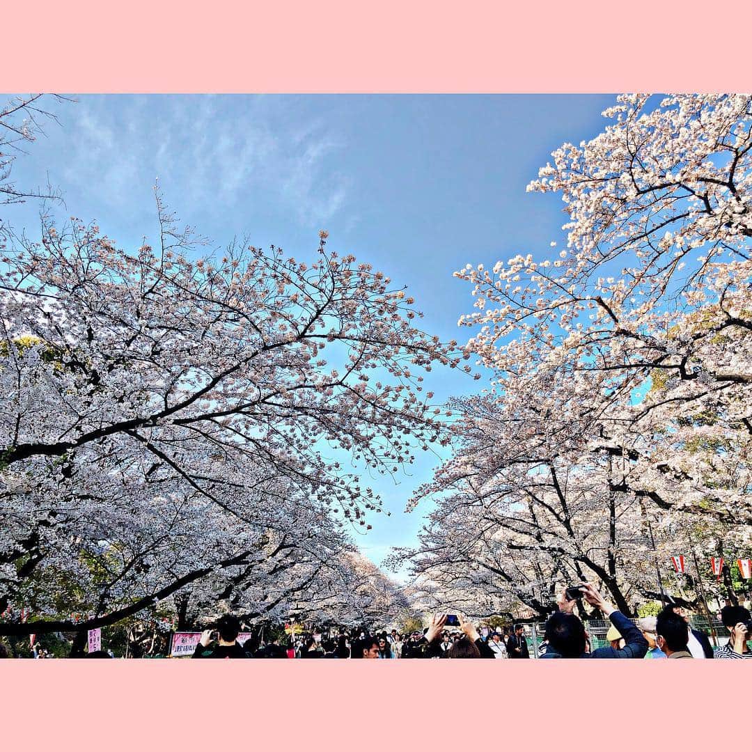 岡田鷹斗さんのインスタグラム写真 - (岡田鷹斗Instagram)「Part2..🌸 #japan #Ueno #tokyo #Park #Sakura #men's #butterfly  #日本🇯🇵 #上野動物園🐼  #東京🗼 #桜🌸 #紳士 #🐾 #🌎」4月6日 0時18分 - okada_takato