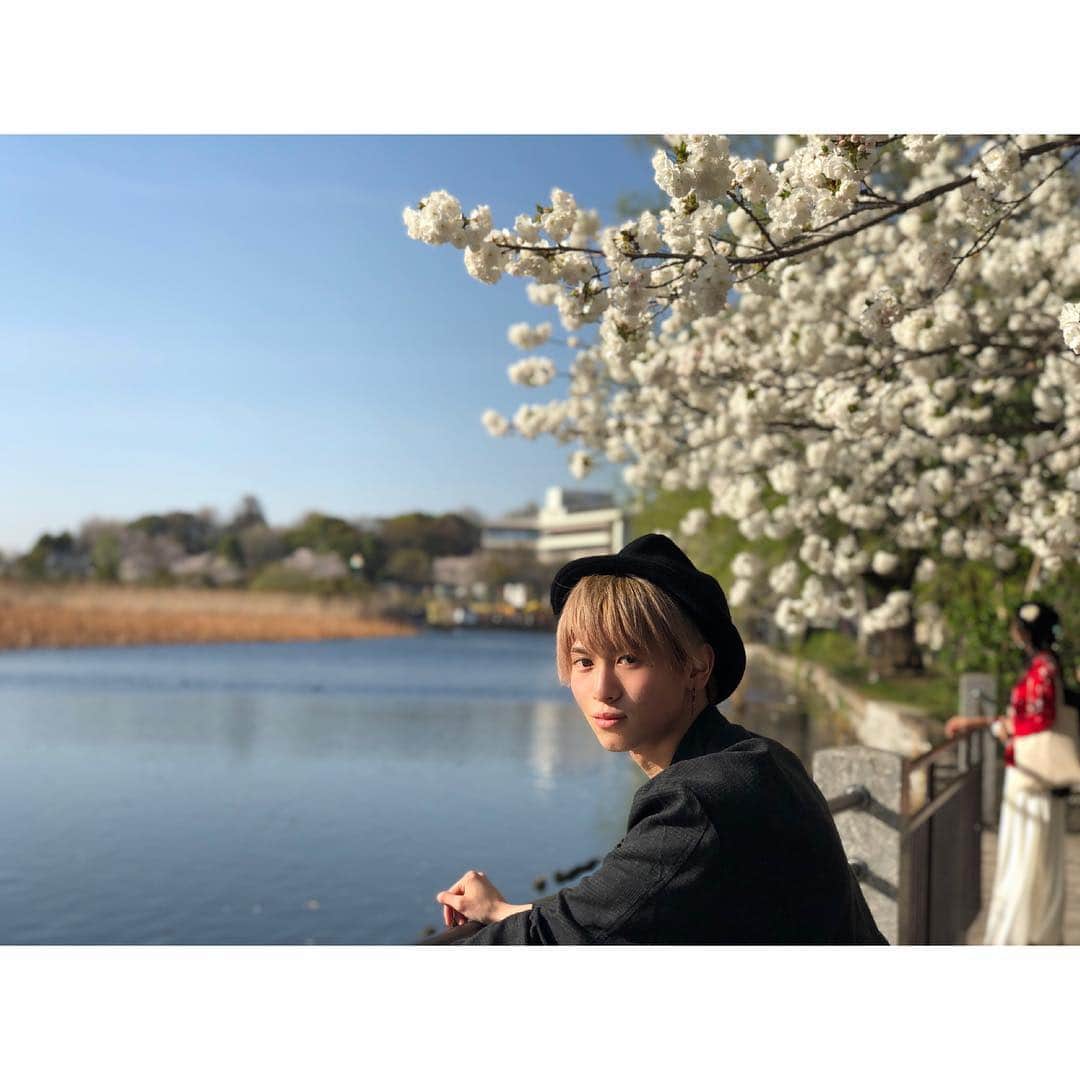 岡田鷹斗のインスタグラム：「Part2..🌸 #japan #Ueno #tokyo #Park #Sakura #men's #butterfly  #日本🇯🇵 #上野動物園🐼  #東京🗼 #桜🌸 #紳士 #🐾 #🌎」