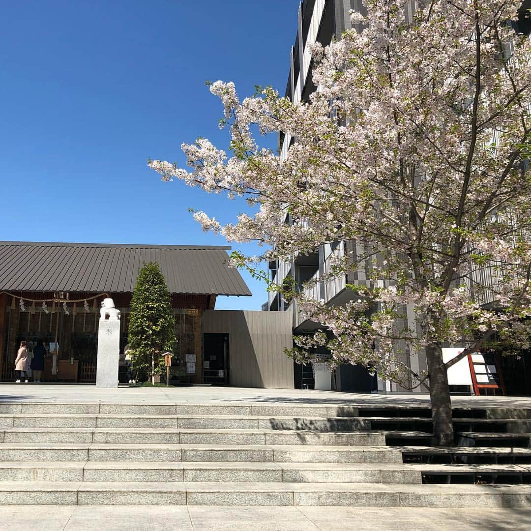 山下莉奈さんのインスタグラム写真 - (山下莉奈Instagram)「先日のランチ💕 マヒロと♪ 赤城神社にある #あかぎカフェ  清々しい空気✨✨ カフェに座ってボーッと階段を上がって参拝する人々を見てたら、そのうち『皆んなよく来たね☺️』って気持ちになってきて、もはや神目線🤫💭 #神楽坂 #赤城神社」4月6日 0時38分 - rinayamashita
