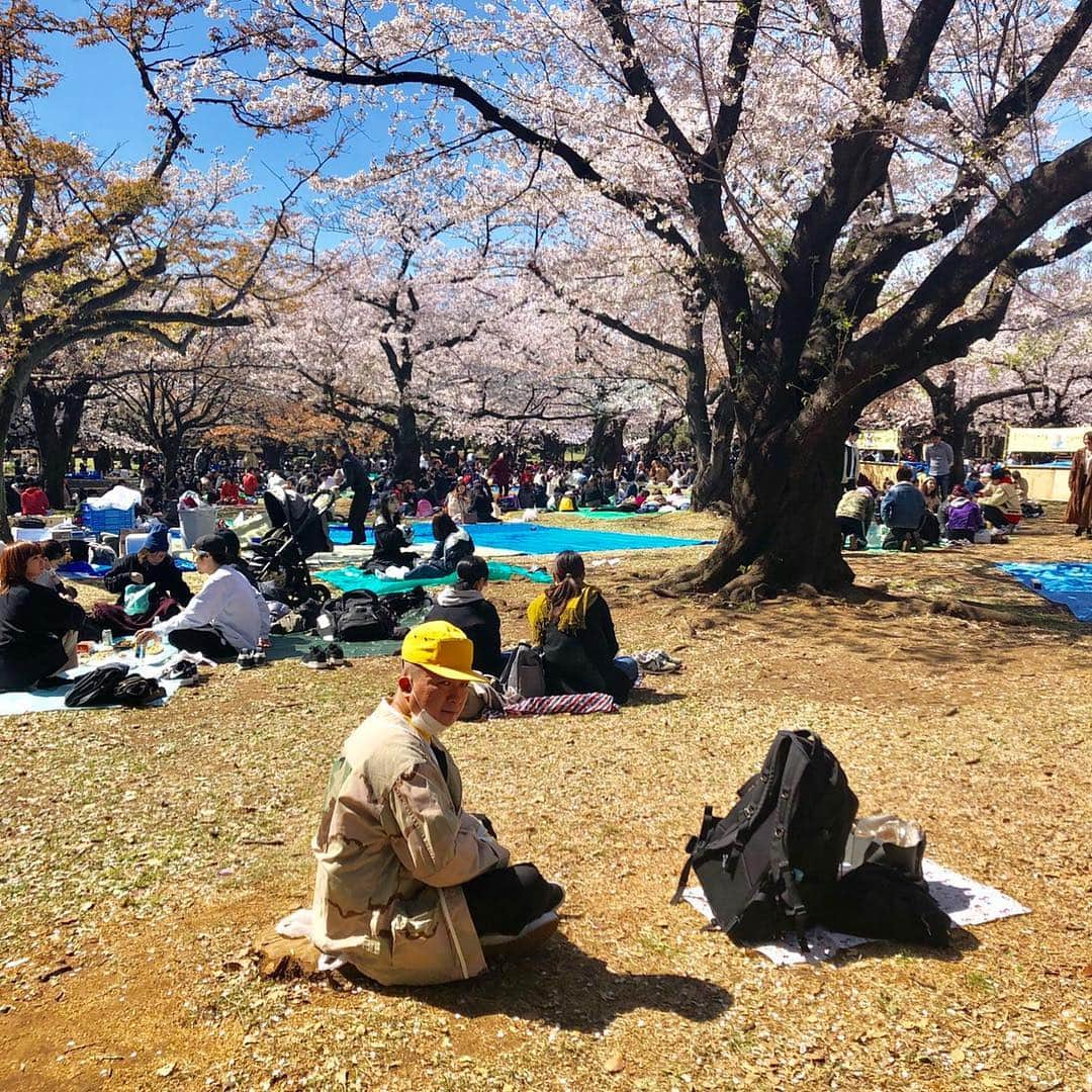 松尾駿さんのインスタグラム写真 - (松尾駿Instagram)「#hanami」4月6日 0時40分 - matsuoshun