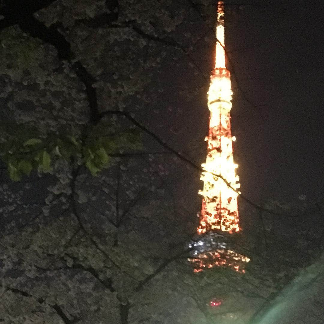 岡安弥生さんのインスタグラム写真 - (岡安弥生Instagram)「スタッフと平成最後の花見🌸綺麗だなぁ。#赤羽橋#モーニングショー#花見#桜#cherryblossom #akabanebashi#tokyo#hanami #drunk」4月6日 1時29分 - yayoin3